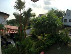 Bukit Loyang Estate (D17), Semi-Detached #471814841